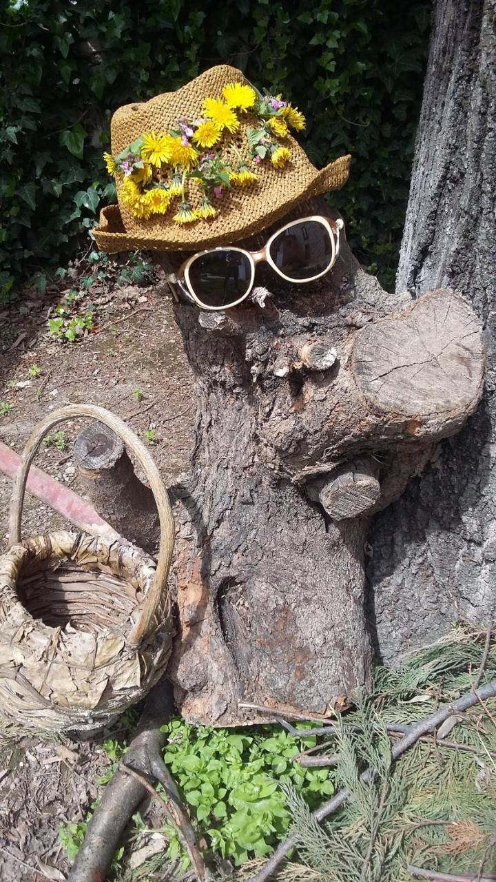 Nimet Hanım Konağı Safranbolu Dış mekan fotoğraf
