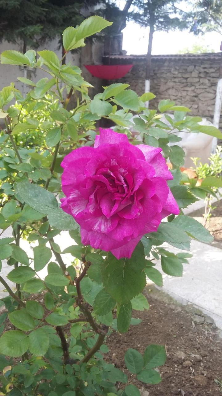 Nimet Hanım Konağı Safranbolu Dış mekan fotoğraf